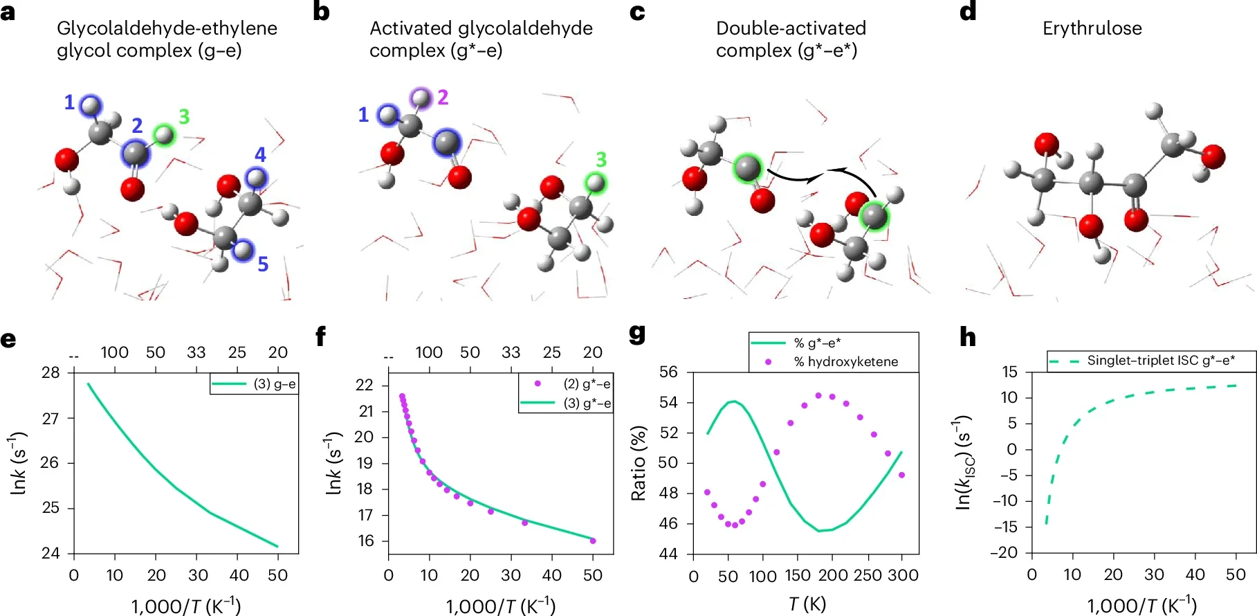 Reaction mechanism of erythrulose from glycolaldehyde (g) and ethylene glycol (e) on ASW.