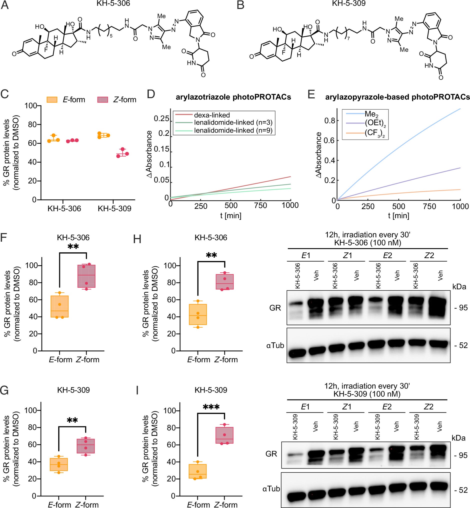 Isomer-specific GR degradation and thermal relaxation behavior of arylazopyrazole-based photoPROTACs.