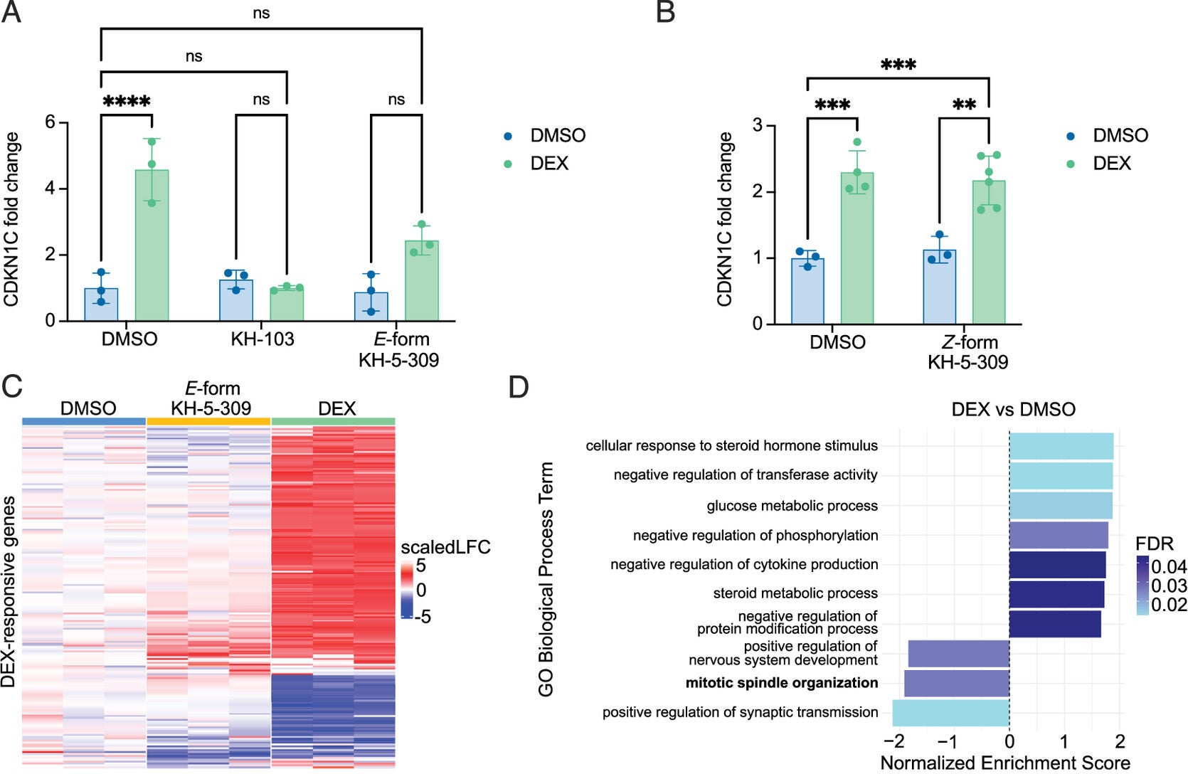 Isomer-specific reversal of DEX-induced dormancy in A549 cells by KH-5 309.
