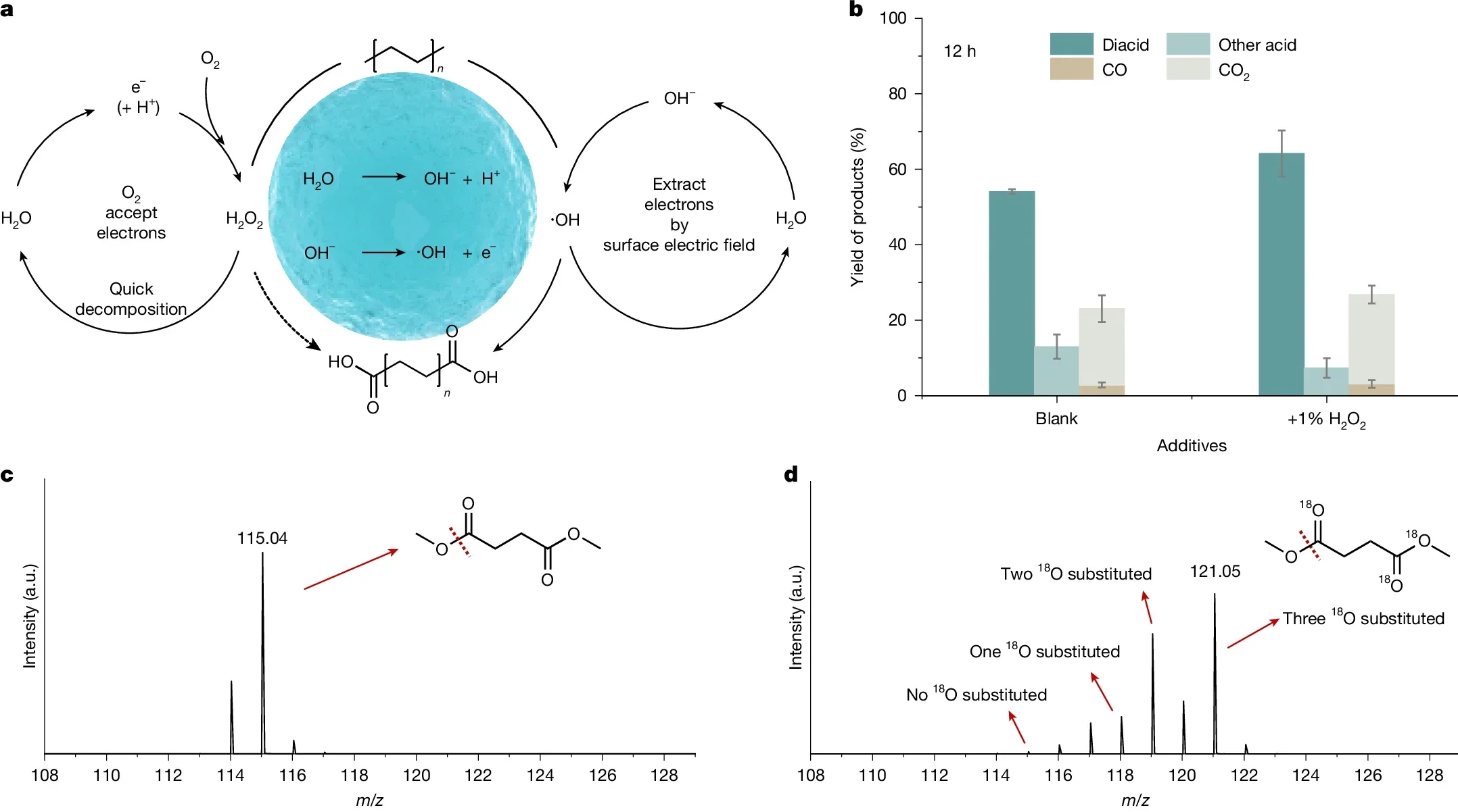 Time course and mechanisms of the catalyst-free PE oxidation.