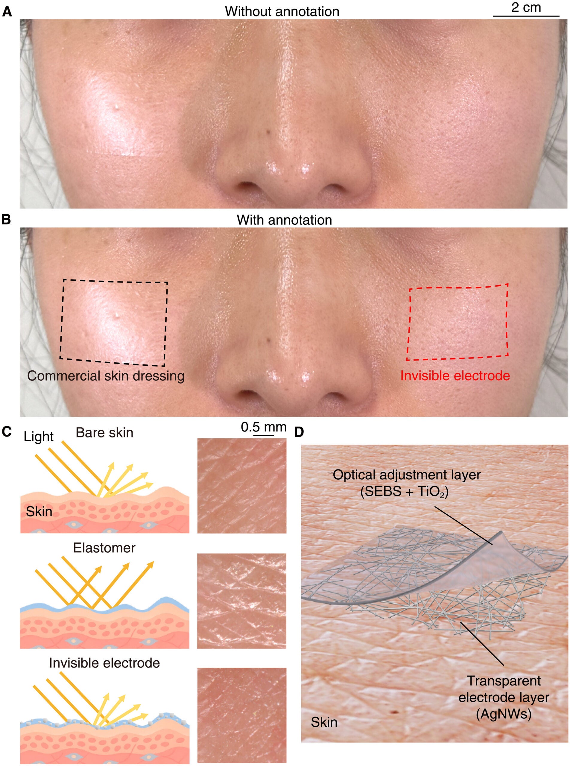 An invisible electrode. (A and B) Photo of the commercial skin dressing (left side) and the invisible electrode (right side) attached to the face without and with annotation, respectively. (C) Schematics (left) of incident light reflection on bare skin (top), a plane elastomer thin film on skin (middle), and on the invisible electrode on skin (bottom). (D) Schematic of the invisible electrode structure.