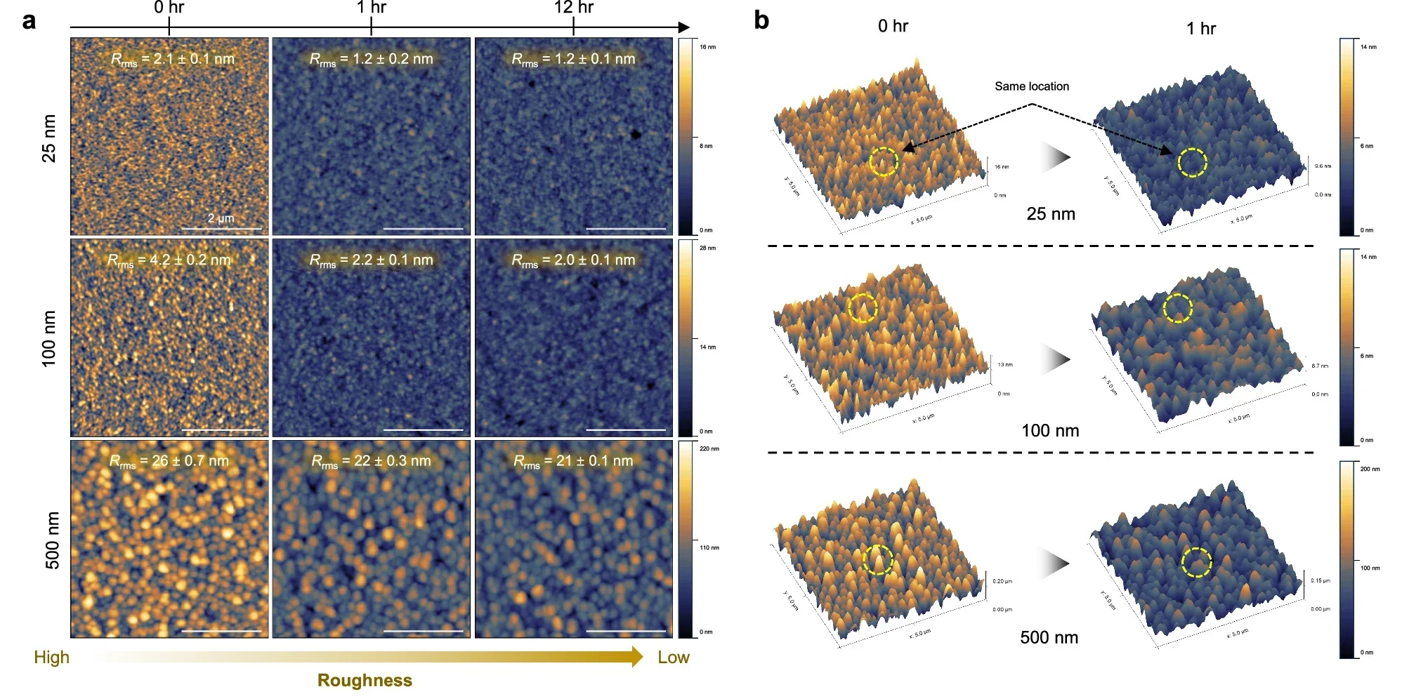 Surface morphology transition of pPFDMA.