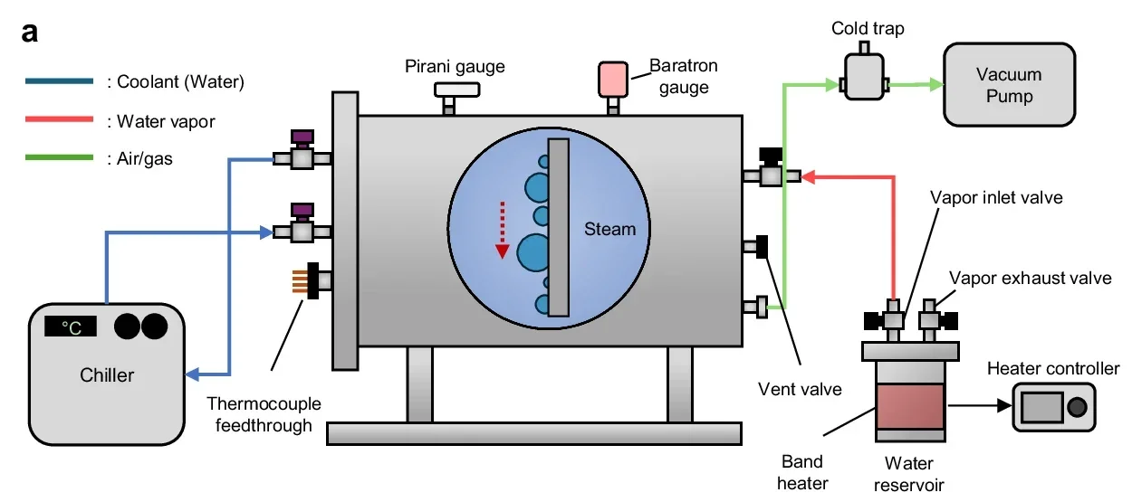 Transient condensation dynamics in pure vapor experiment.