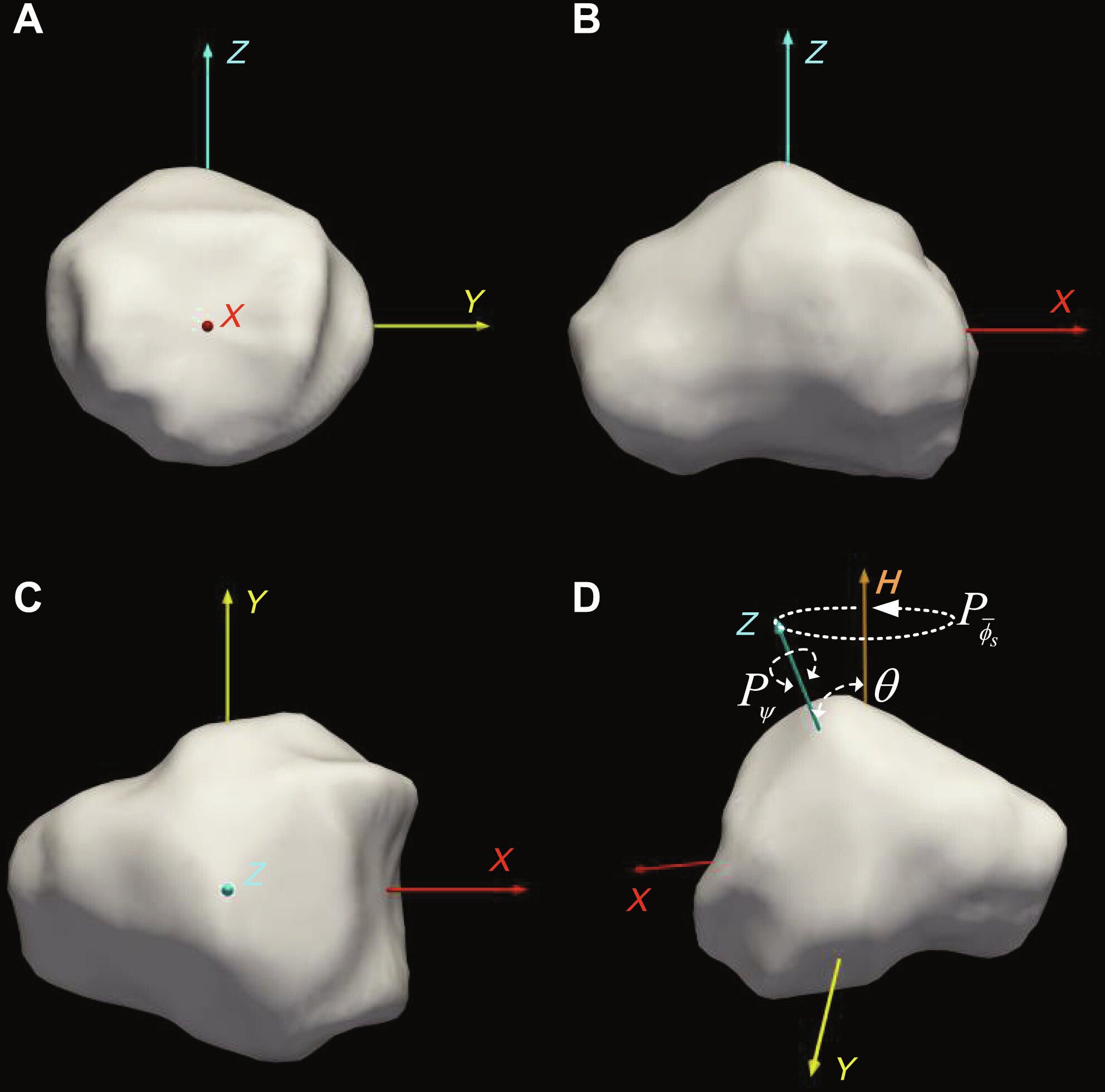 Shape and spin state of Apophis. (A to C) Nonconvex shape model based on radar [10]. (D) Short-axis tumbling period convention for Apophis.