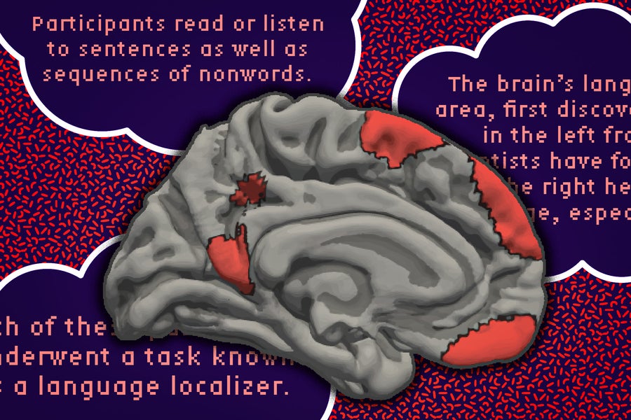 MIT scientists have found that parts of the brain outside of traditional language processing regions also respond selectively to language, including parts of the medial cortex (shown in red).