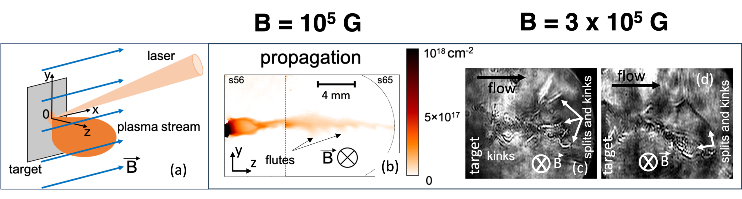 Schematic view of the experimental set-up. A laser pulse (the light orange cone) irradiates the target surface (the grey rectangle) and creates the plasma stream (the orange oval), propagating into vacuum across the B-field lines (the blue arrows).