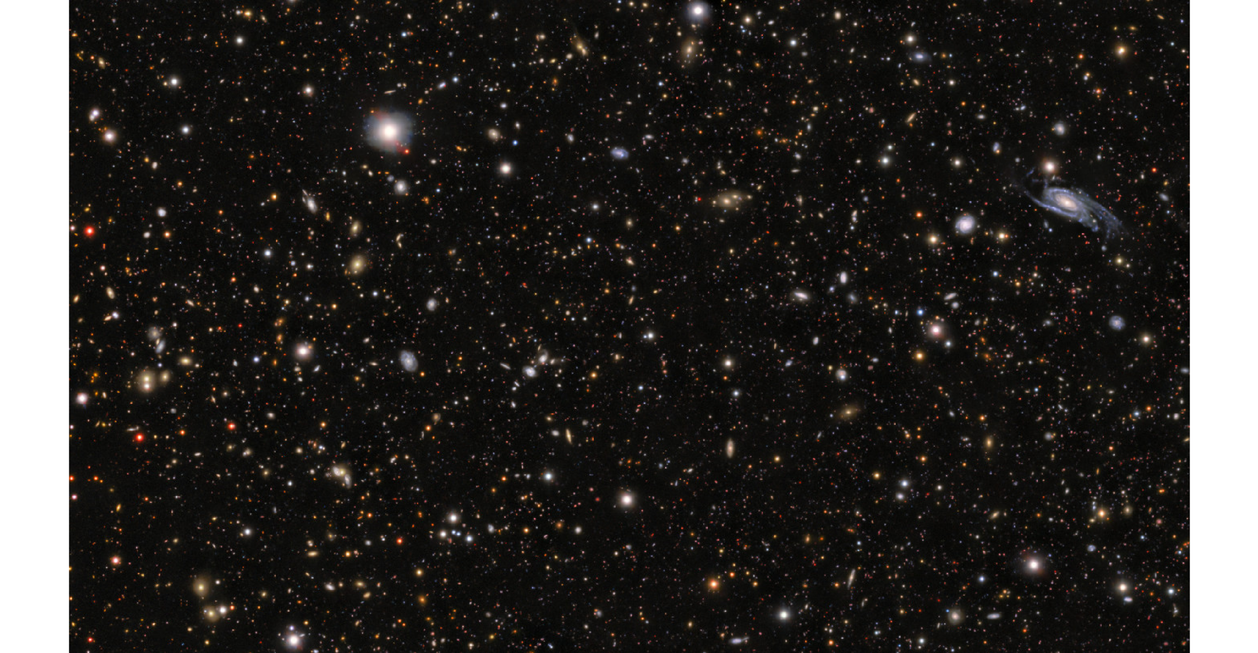 This image shows the field around the progenitor to supernova SN 2026gzf, detected by the Einstein Probe on 21 March 2026. The supernova progenitor appears as a bright blue dot within the galaxy located in the middle of the upper third at the center of this image.