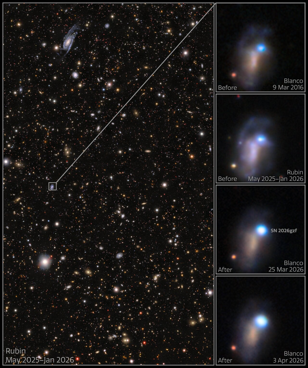 These images show the evolution of supernova SN 2026gzf, which was first detected by the Einstein Probe on 21 March 2026. Images taken on 25 March and 3 April 2026 show the supernova brightening.