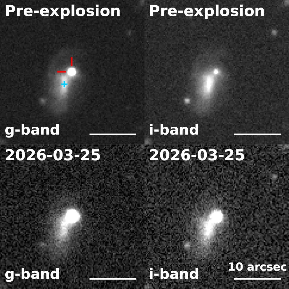 Finding chart of EP260321a/SN 2026gzf using DECam imaging in the g and i filters. Archival pre-explosion DECam images from 2013 (13 yr before discovery) are shown in the top panels, while the bottom panels show imaging obtained on 2026 March 25 (T0 + 3.6 days).