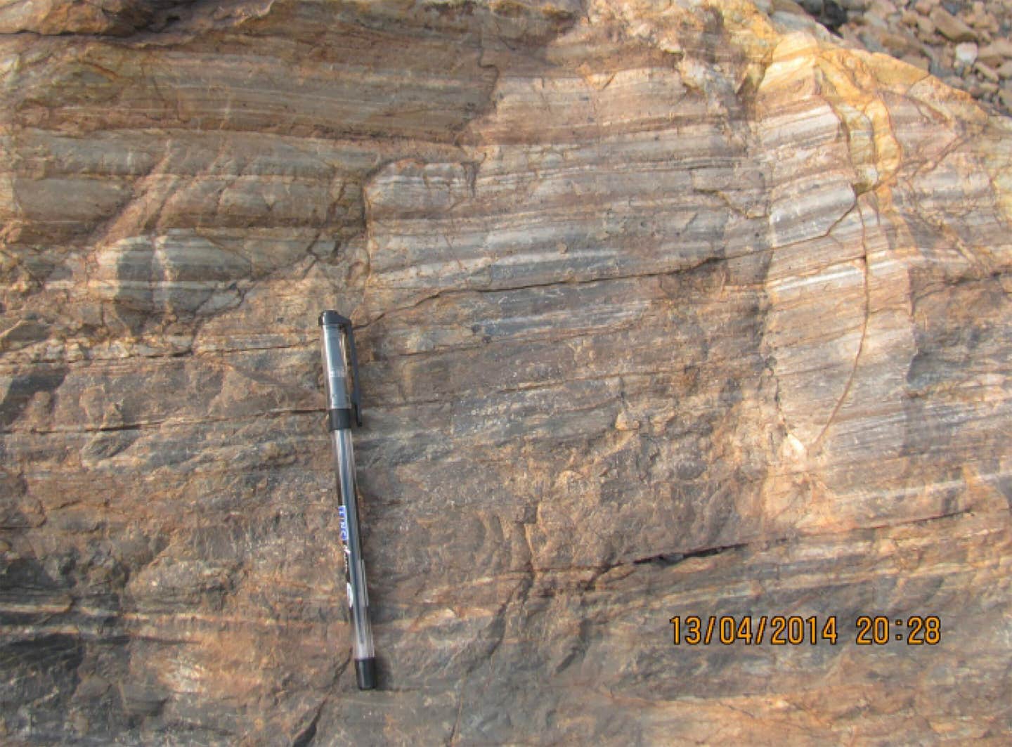 Outcrop photo of carbonaceous chert. 3.5-billion-year-old chert in India preserves carbon and layered structures that researchers link to early microbial life.