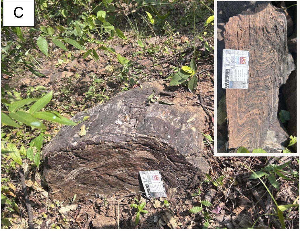 Outcrop of BIF (22°41’50.7” N; 86°09’57.9” E) associated with carbonaceous chert; (Inset) close-view of BIF showing tight, vertical fold