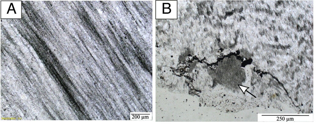 Photomicrographs showing (A) Alternate CM and quartz-rich banding, (B) Primary quartz and CM-bearing lamination (white arrow) cut across by quartz vein with graphite flakes