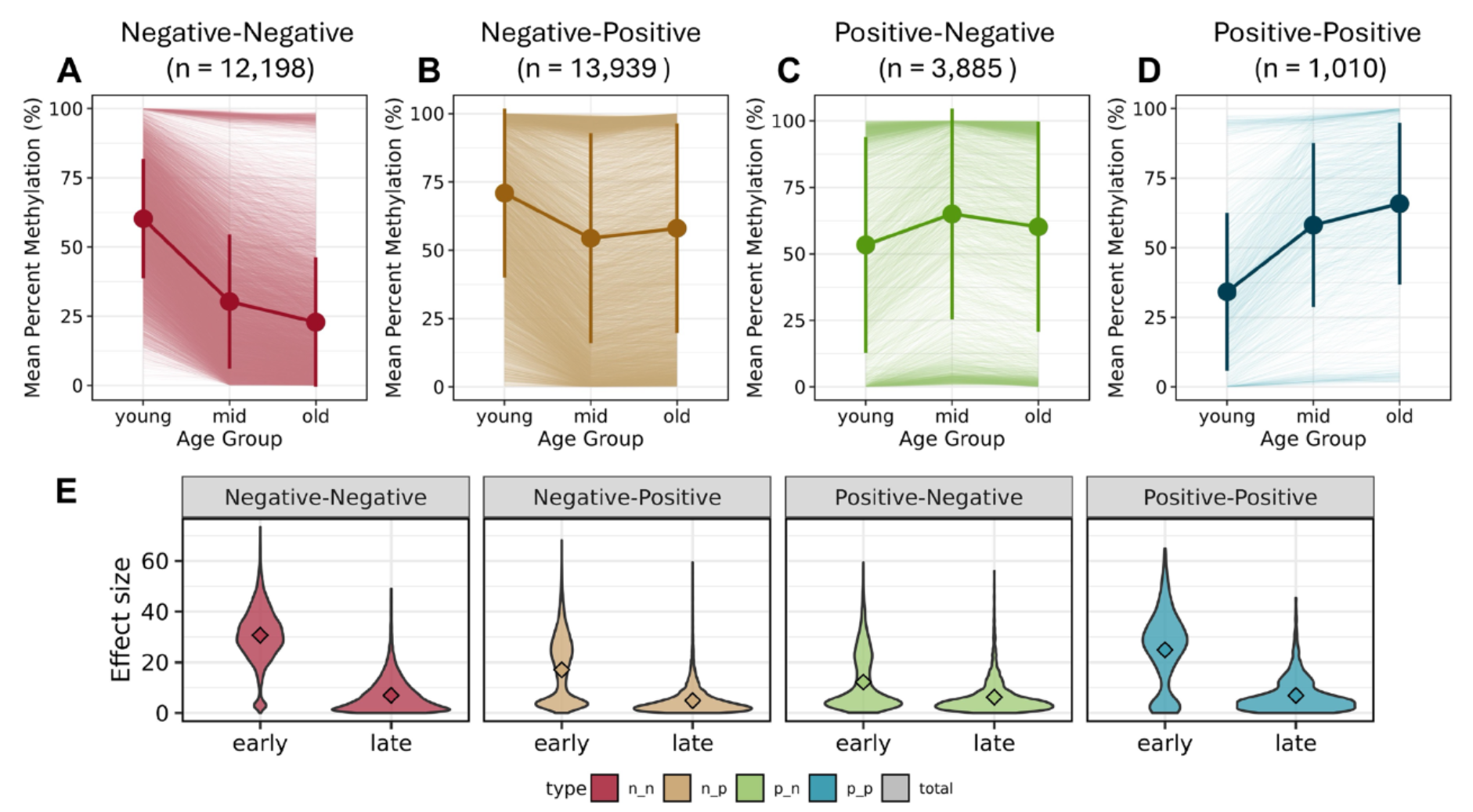Patterns of age-associated differential methylation across categorical age groups.