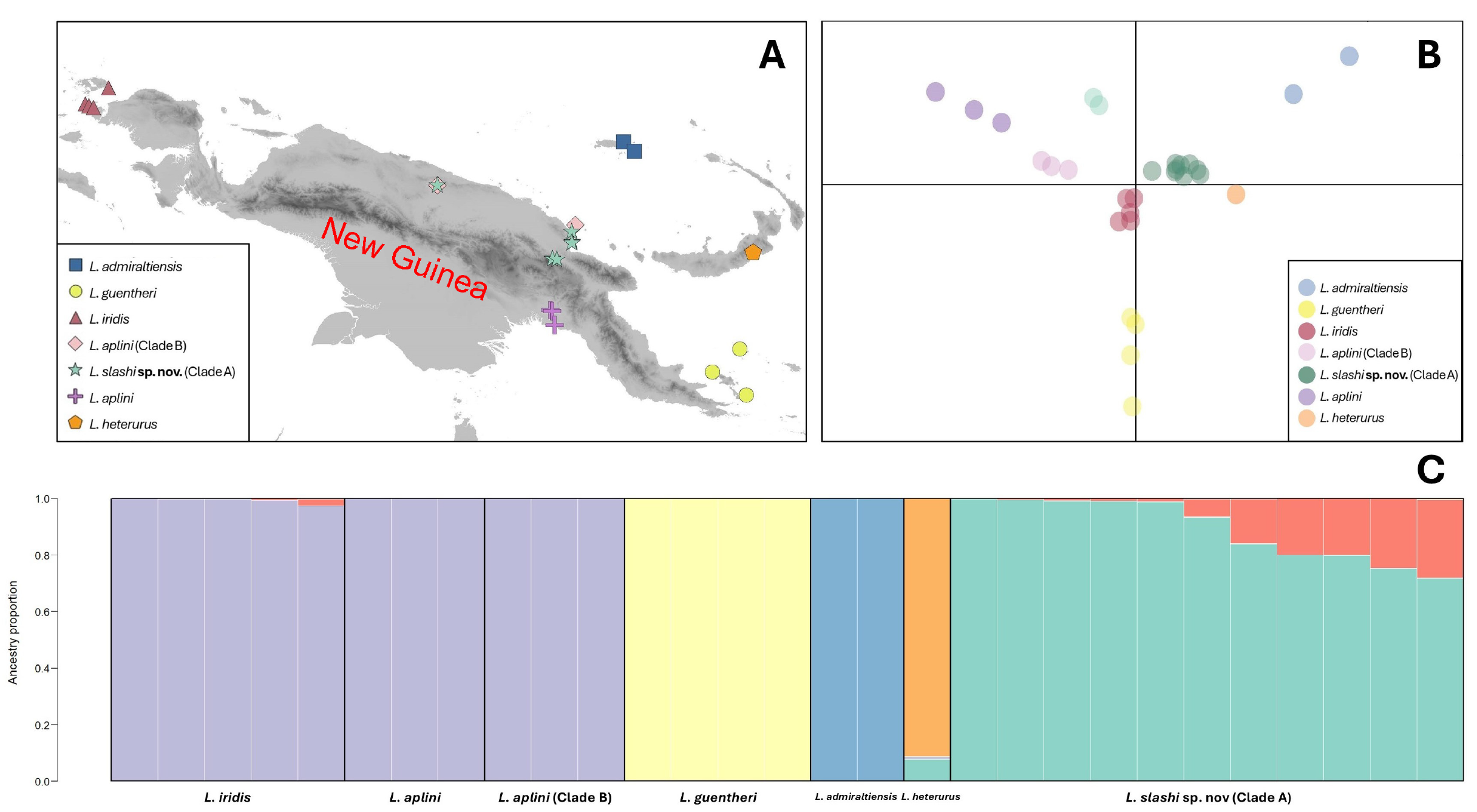 (A) Map of sampling localities for Lielaphis used in demography and population demarcation analysis; (B) DAPC plot showing the genetic clustering of seven Lielaphis taxa; (C) STRUCTURE plot inferring five distinct clusters, indicated by
different colors, across seven recognized and putative Lielaphis taxa delineated by vertical black lines.