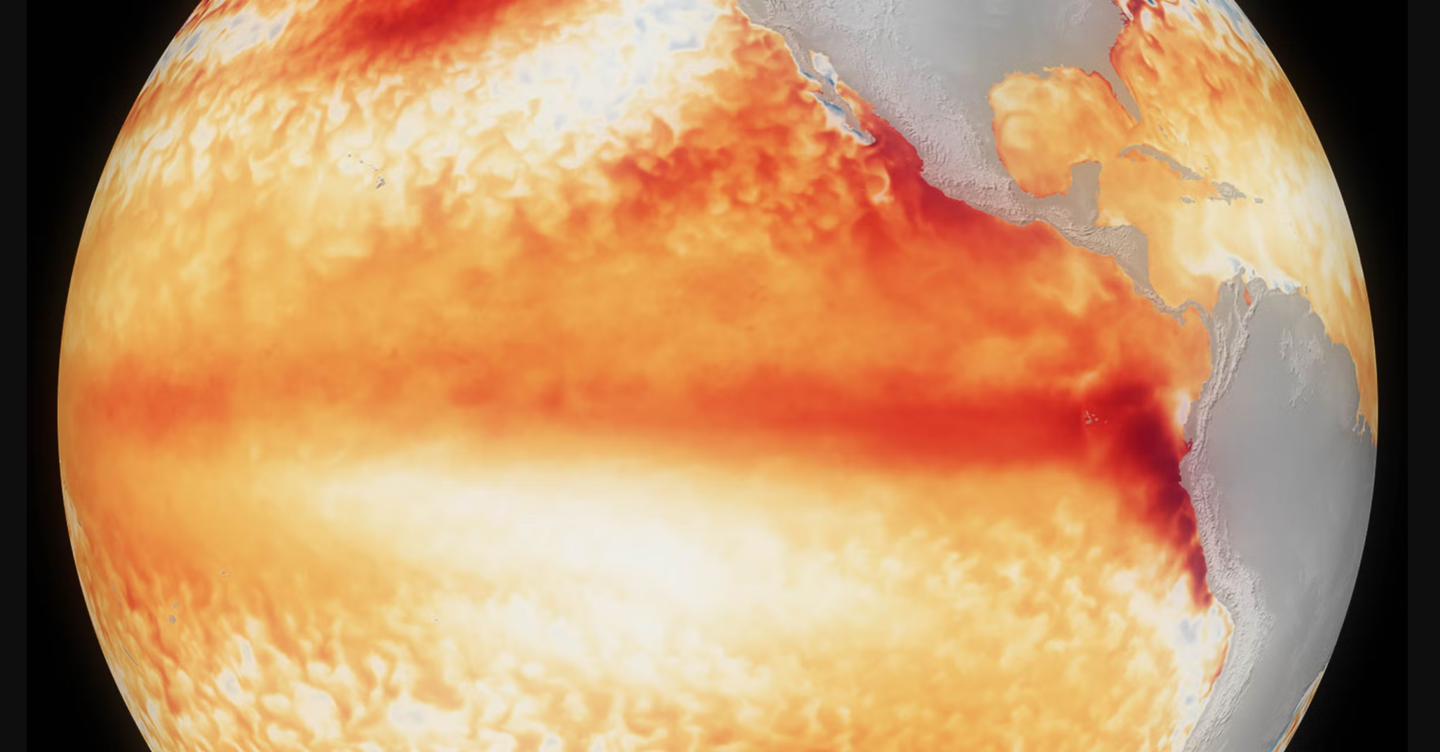 El Niño variability in the eastern Pacific has increased by about 36.5% compared with the pre-industrial era, according to a 1,000-year coral record from the Galápagos Islands.
