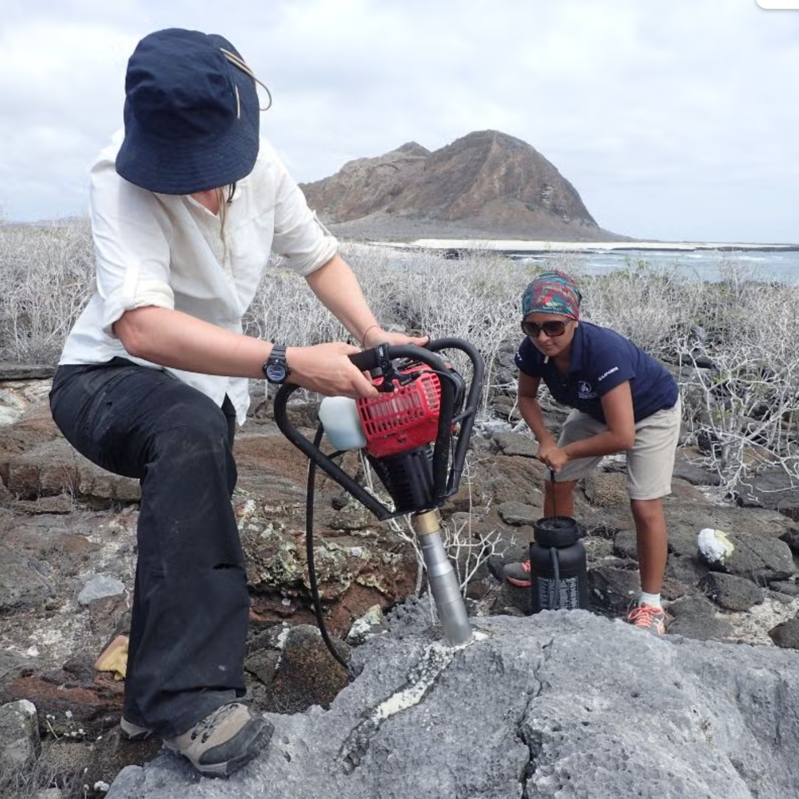 Ancient corals like these at Urvina Bay in the western Galápagos preserve a history of ocean temperature going back millennia.