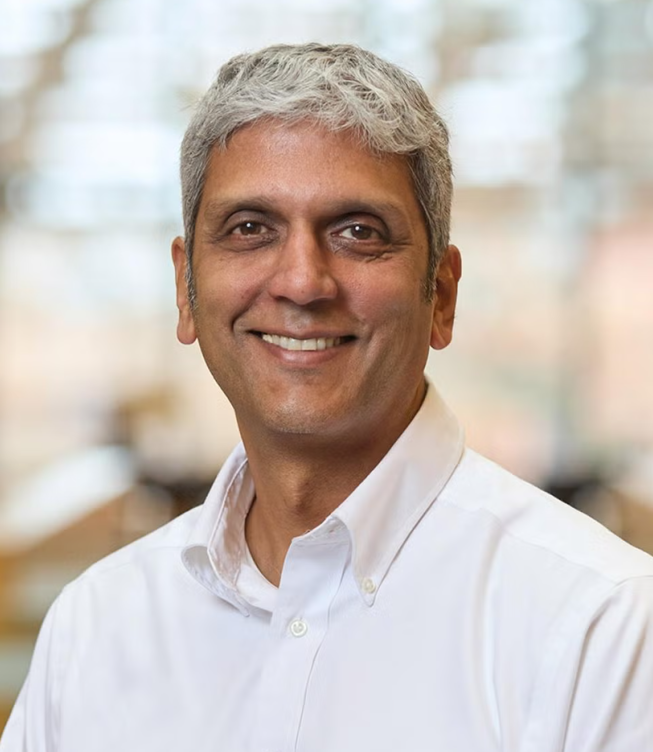 Study co-author Narasimha Rao, professor of energy systems.