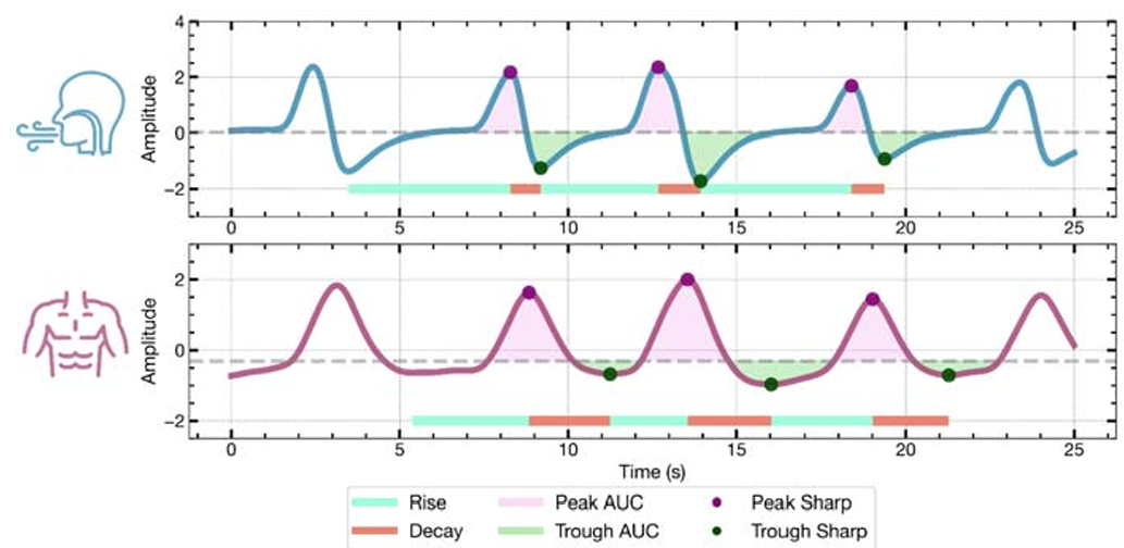 Quantification of respiration waveform shape. Airflow (top) and belt (bottom) signals shown with the following waveform features: rise time, decay time, area under the inhale peak, area under the exhale trough, inhale peak sharpness, and exhale trough sharpness.