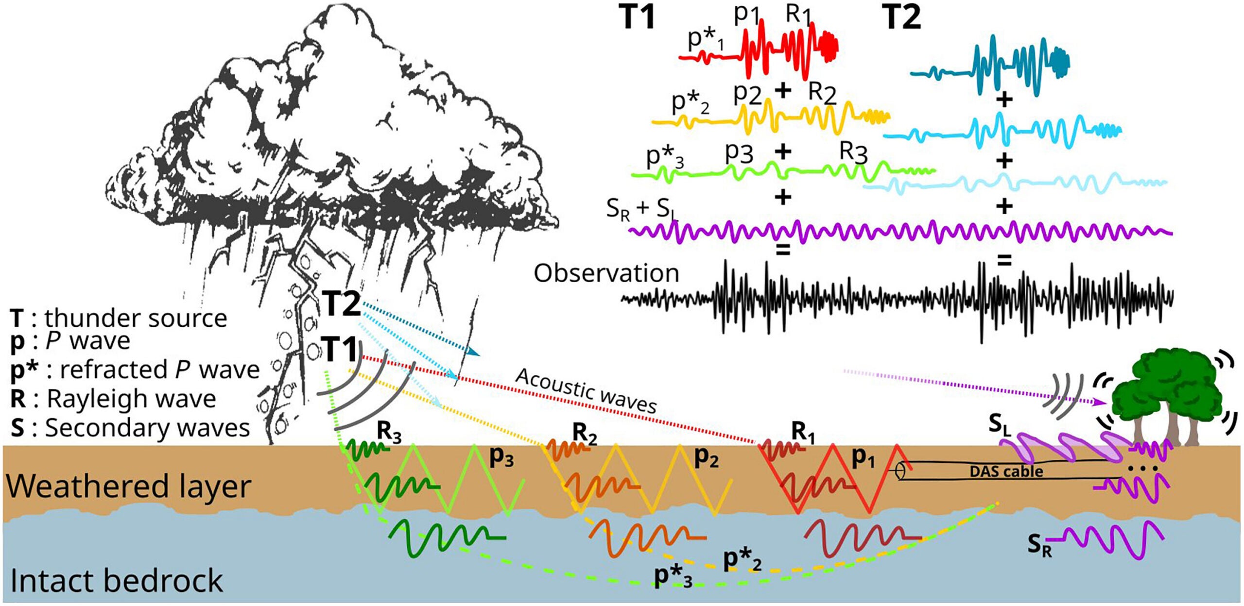Thunderquake raypath diagram. Raypath schematic of thunderquake generation. Direct acoustic waves from along the thunderbolt (T1 and T2) couple into the ground and environment, creating propagating waves and surface waves. The summation of all these waves constitutes the thunderquake wavefield observed by DAS.
