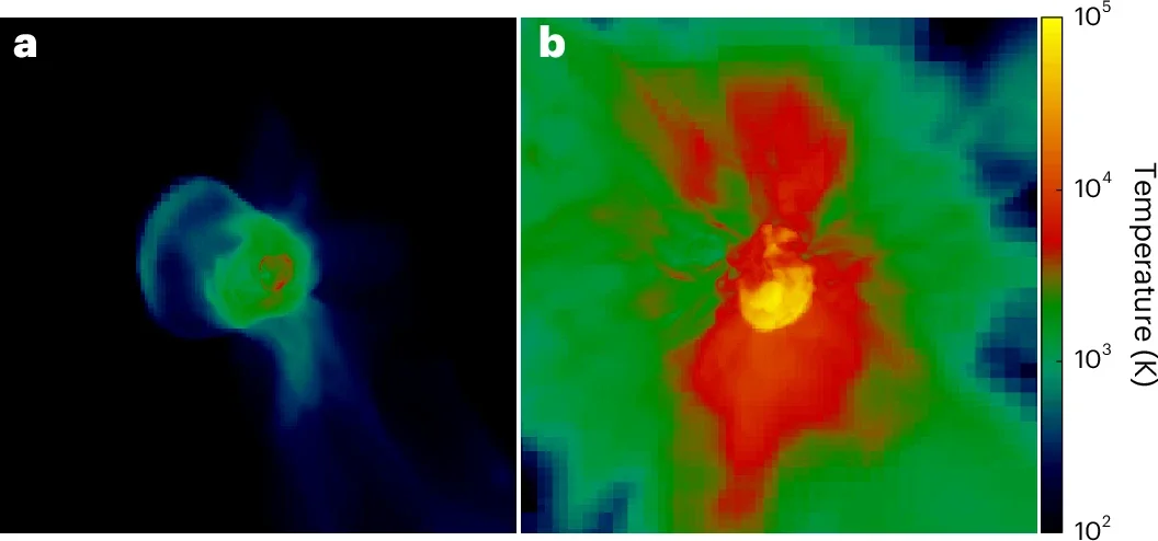 Primordial supernova explosions. At the end of the simulations, both supernova remnants are still trapped within their respective H ii regions.