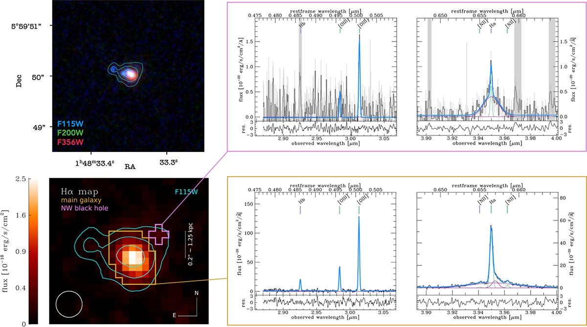 JWST observations of galaxy J0148-4214 reveal evidence for three active galactic nuclei (AGNs). NIRCam imaging and Hα emission maps pinpoint two AGNs within the main galaxy and a third to its northwest. Spectral analysis shows multiple broad Hα components, including gas moving at thousands of kilometers per second, providing evidence for three actively feeding black holes in the system. 