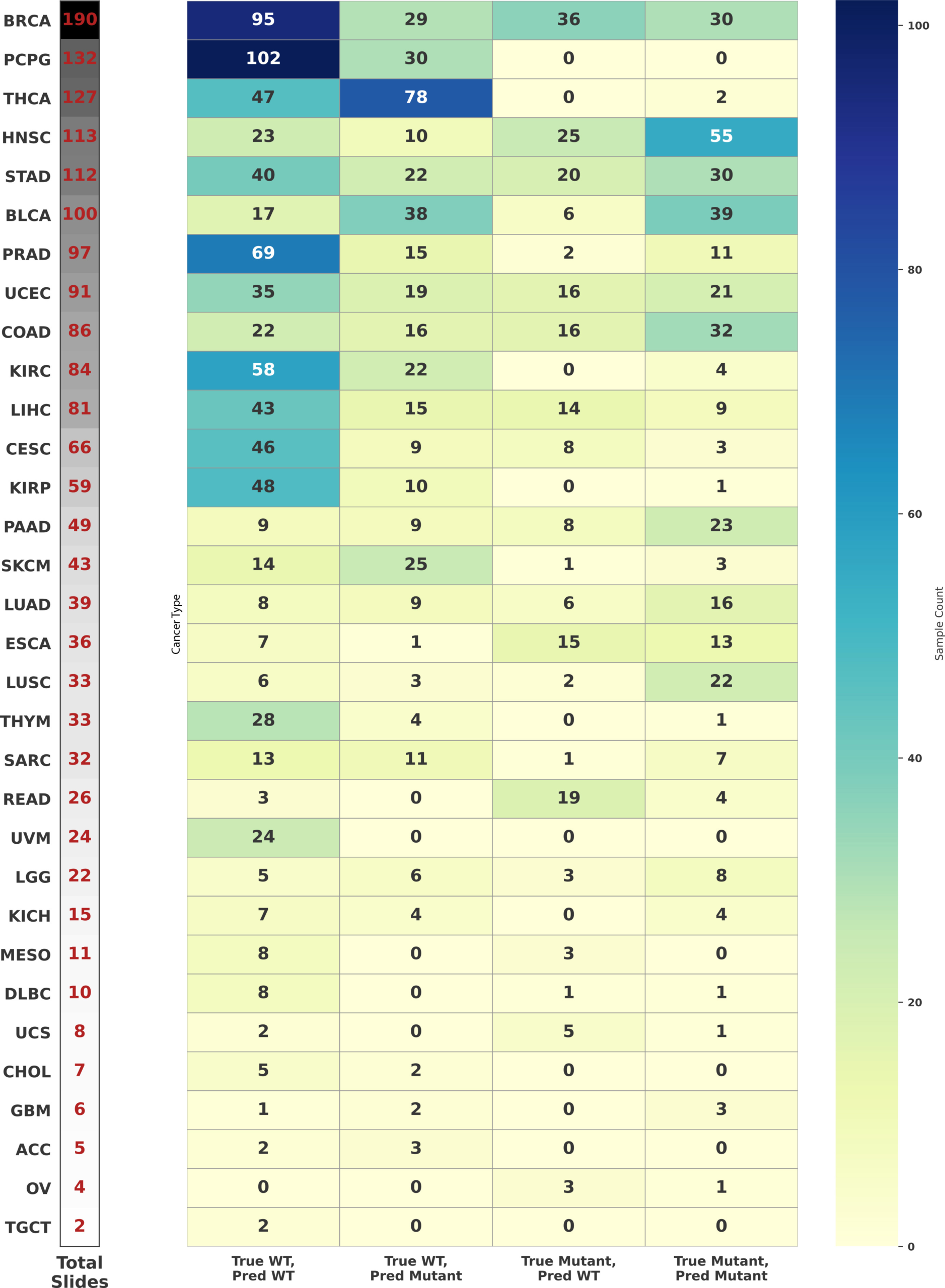 Heat map of TP53 mutation prediction across pan-cancer on the external validation set.