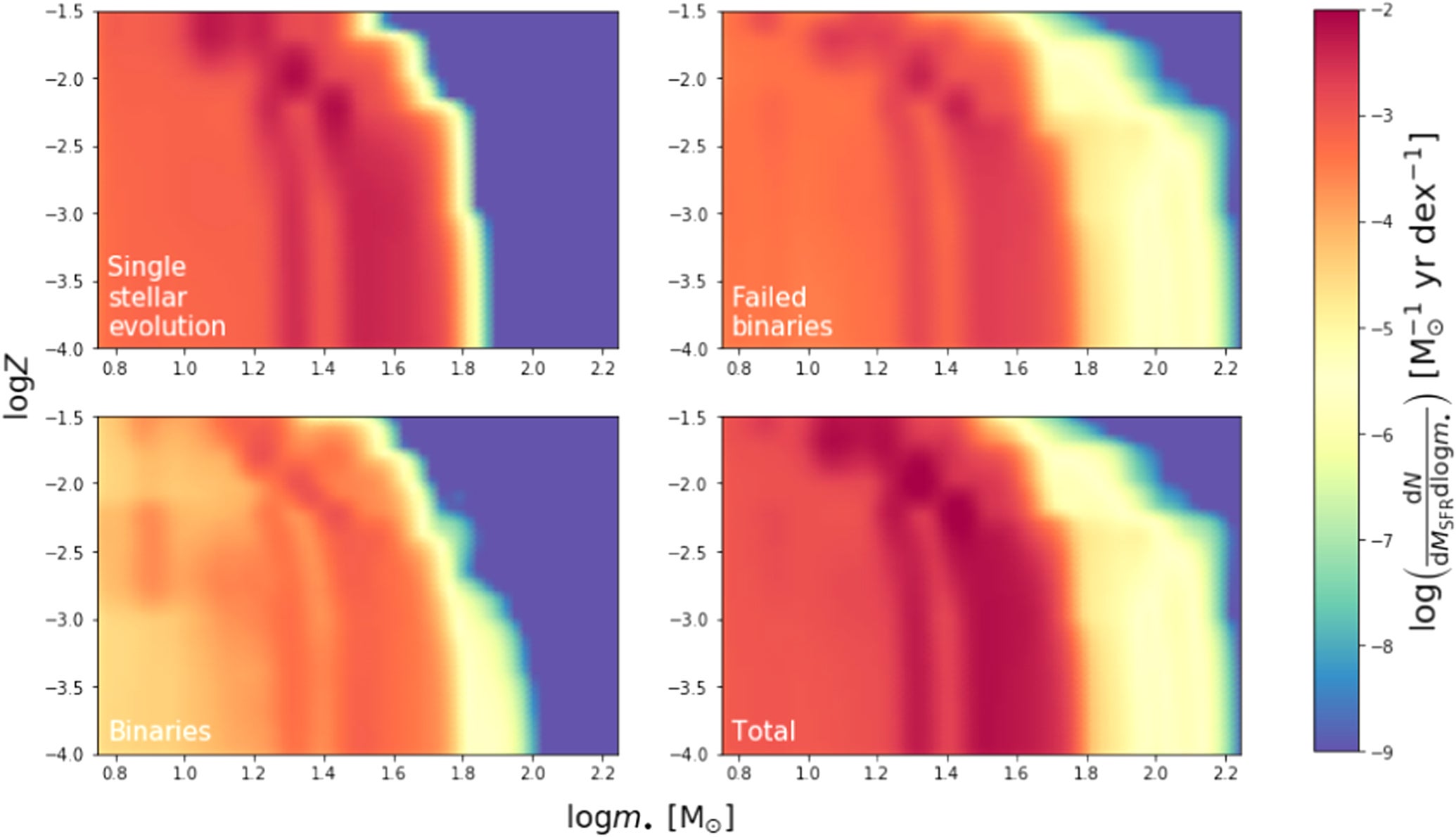 The stellar term dN•/dM_SFR dlog m• of Equation (7) expressing the number of BHs per unit star-formed mass (color-coded) as a function of BH mass m• (on the x-axis) and of metallicity Z (on the y-axis).