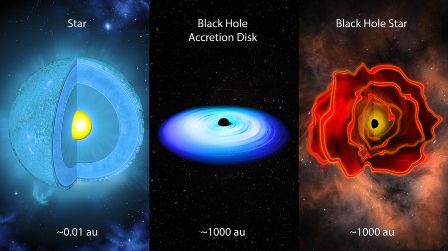 Stars (left) generate energy through nuclear fusion, while black holes (center) feed from flattened accretion disks. Black hole stars (right) could bridge the two, with a young black hole powering a dense envelope of gas that radiates much like a star.