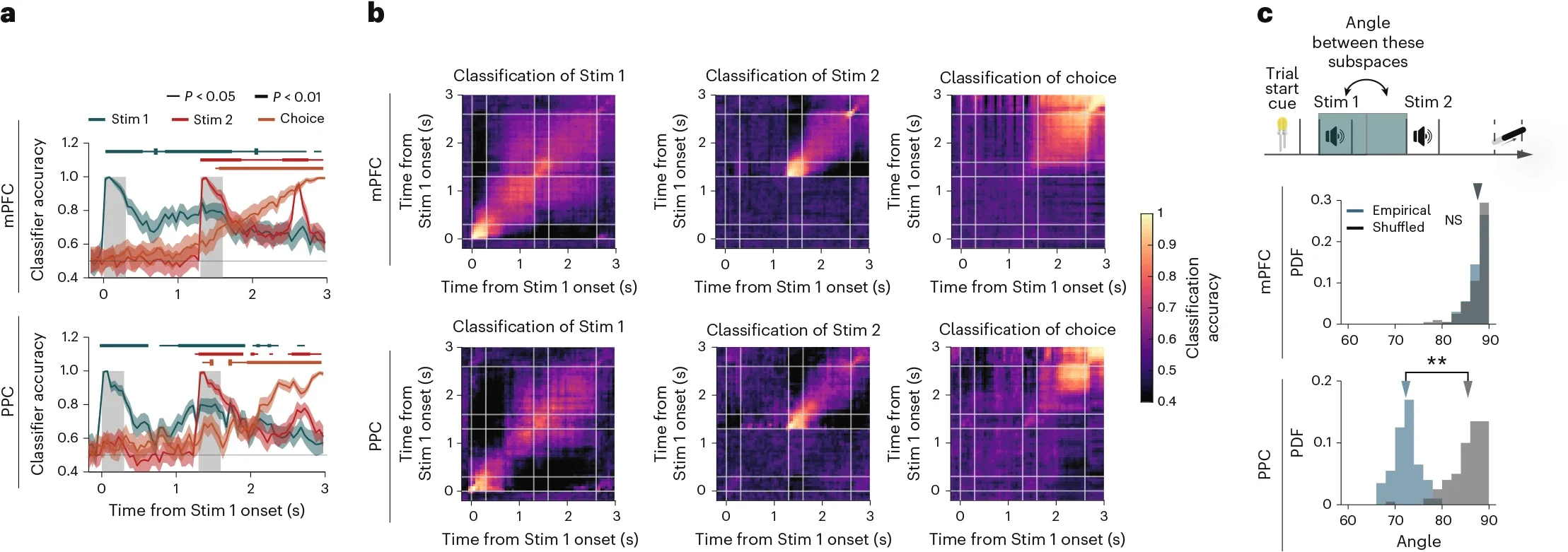 Neural subspaces for stimulus and memory maintenance are orthogonal.