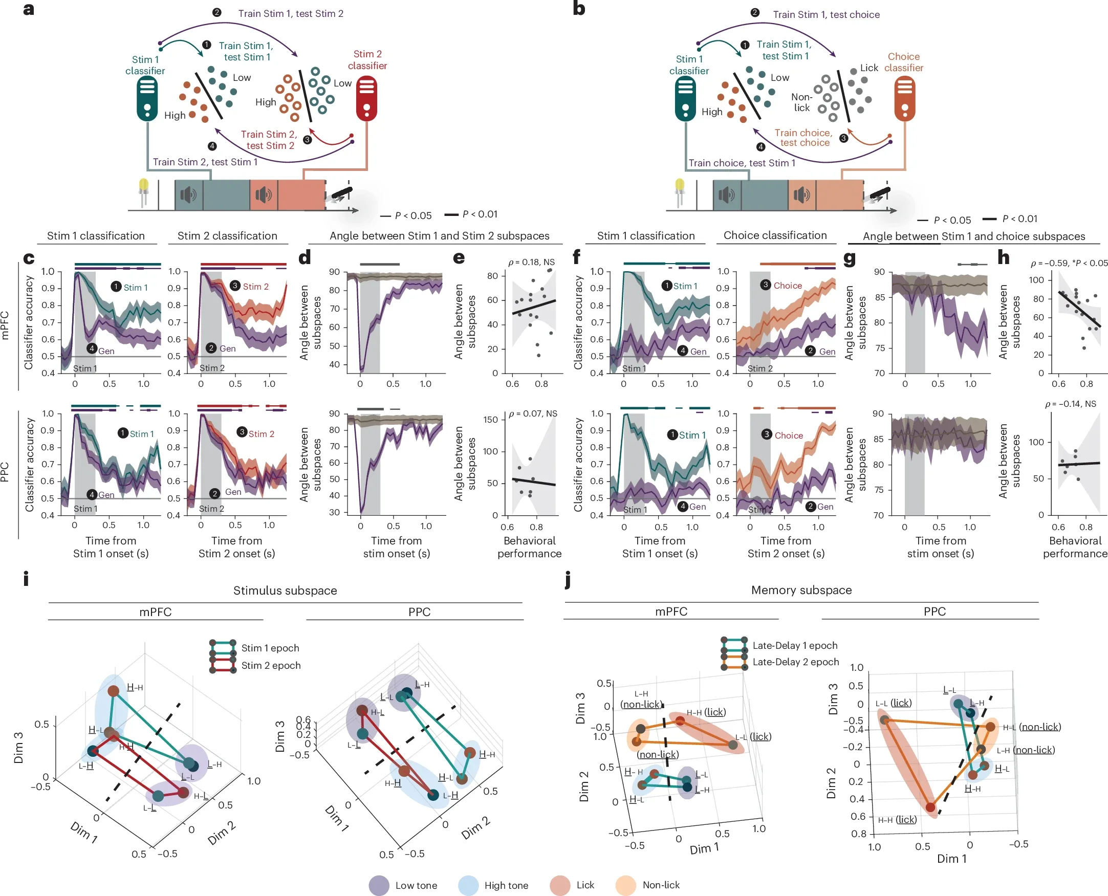 Neural subspaces are shared during the task.