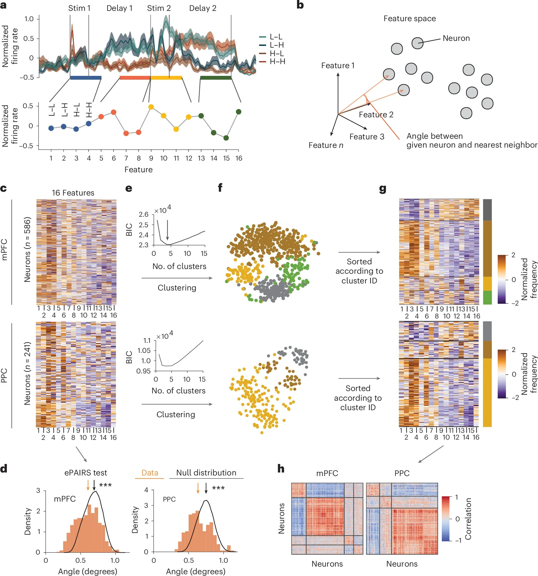 mPFC and PPC neurons form discrete clusters.
