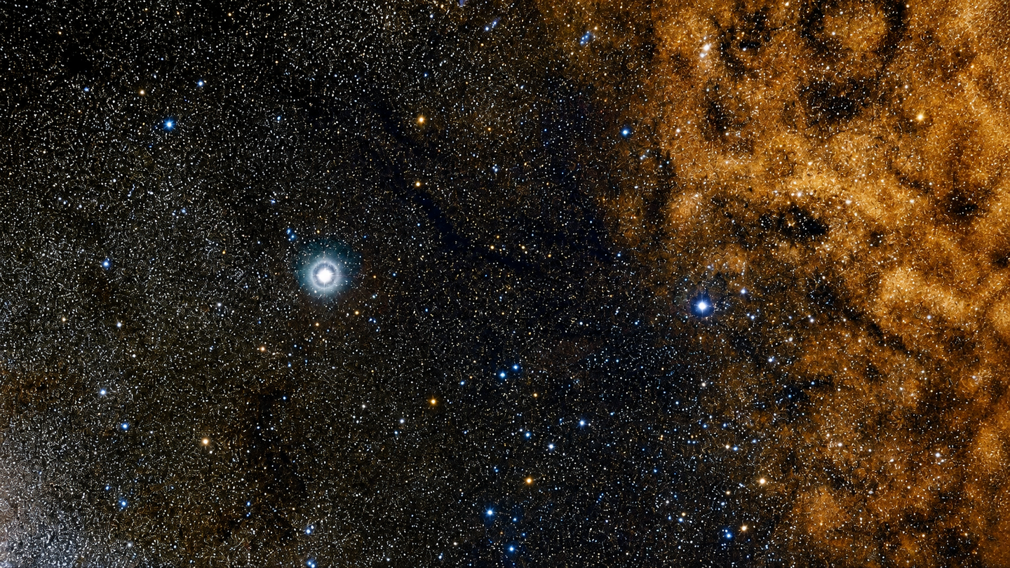 The fastest star in the Milky Way races around Sagittarius A* at 25,000 km/s and could help astronomers measure its spin.