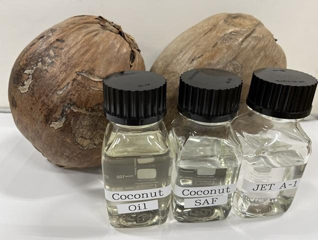 Coconut SAF as an alternative to jet fuel. Coconut oil is processed into SAF, which is chemically similar to the commonly used jet fuel JET A-1.