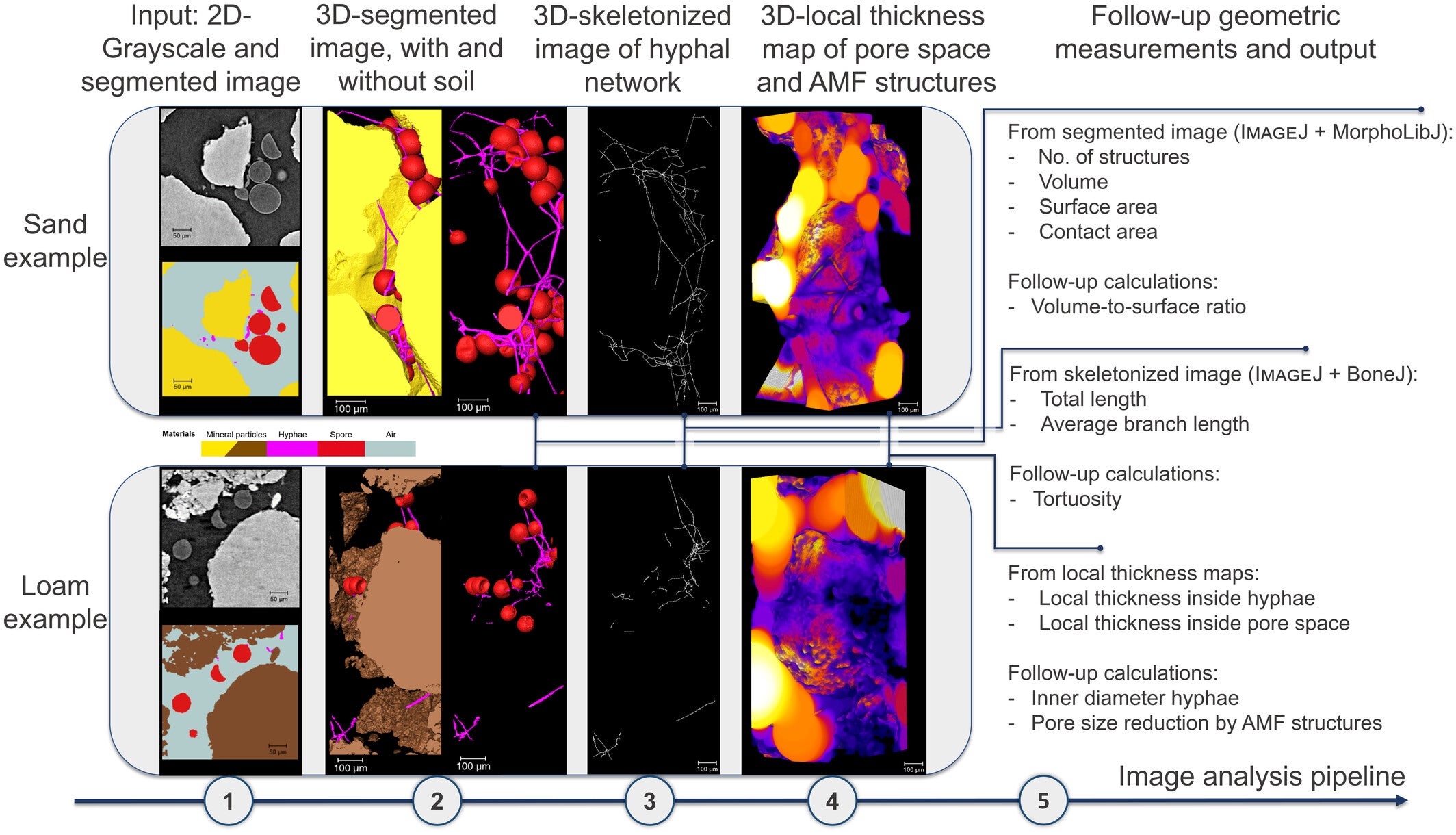 Three-dimensional (3D) image analysis pipeline. 