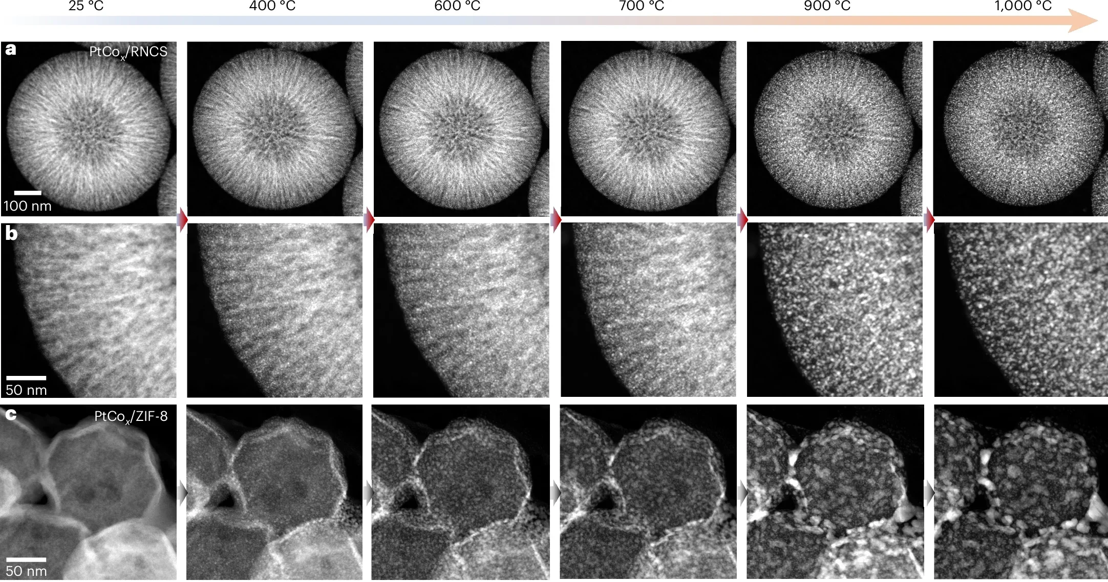 Morphology and structure evolution during the annealing of PtCo intermetallic particles.