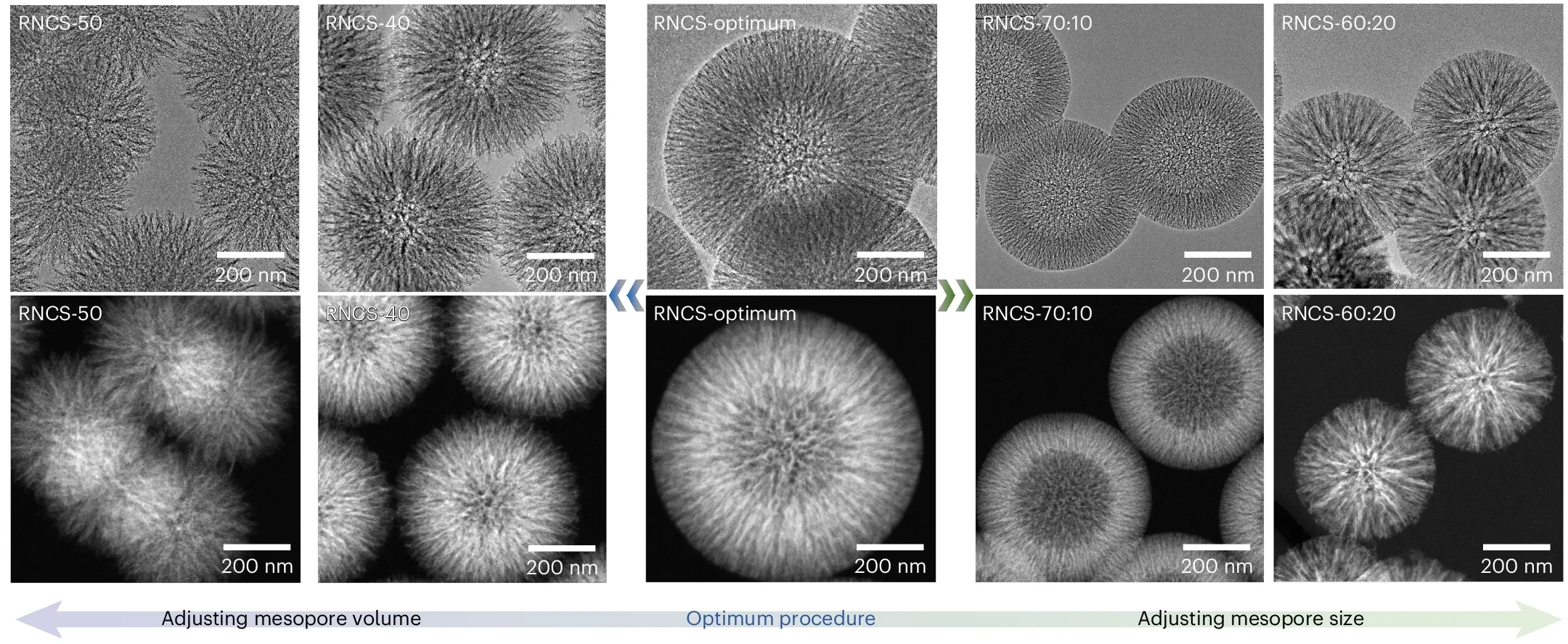 Structure and property correlations of designing the optimal RNCS support by varying synthetic chemistry.