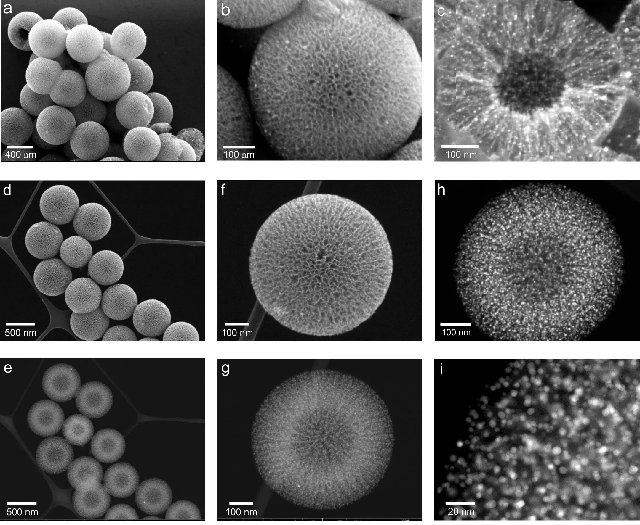 a-c, SEM images. d,f, Secondary electron microscopy. e,g,h,i, HAADF-STEM images. j, Histogram of size for the PtCo NPs. k, Linear elemental distributions across a single PtCo1,000/RNCS catalyst. l, The fraction of PtCo nanoparticles located inside channels, on the external surface and in hollow cavities.