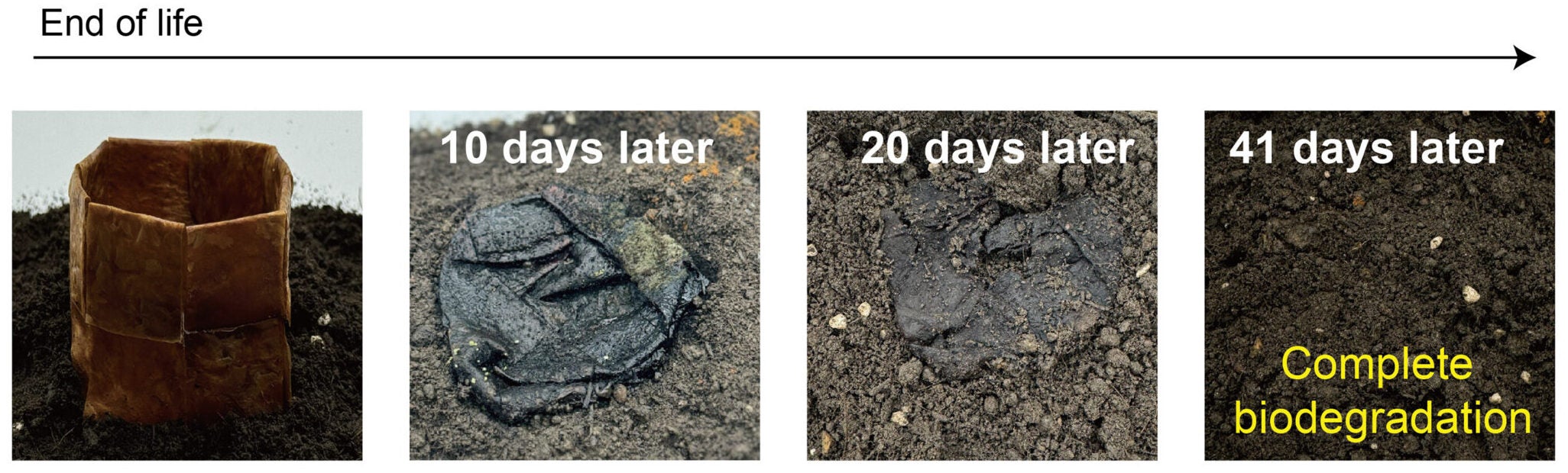 Soil burial tests demonstrate material near-complete degradation over 41 days.