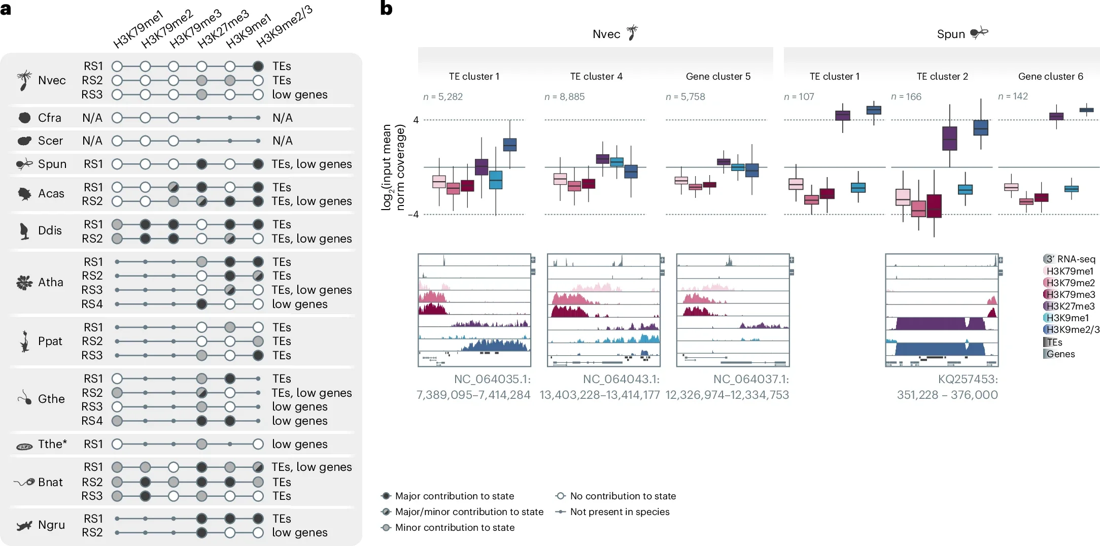 Diversification of repressive chromatin states.