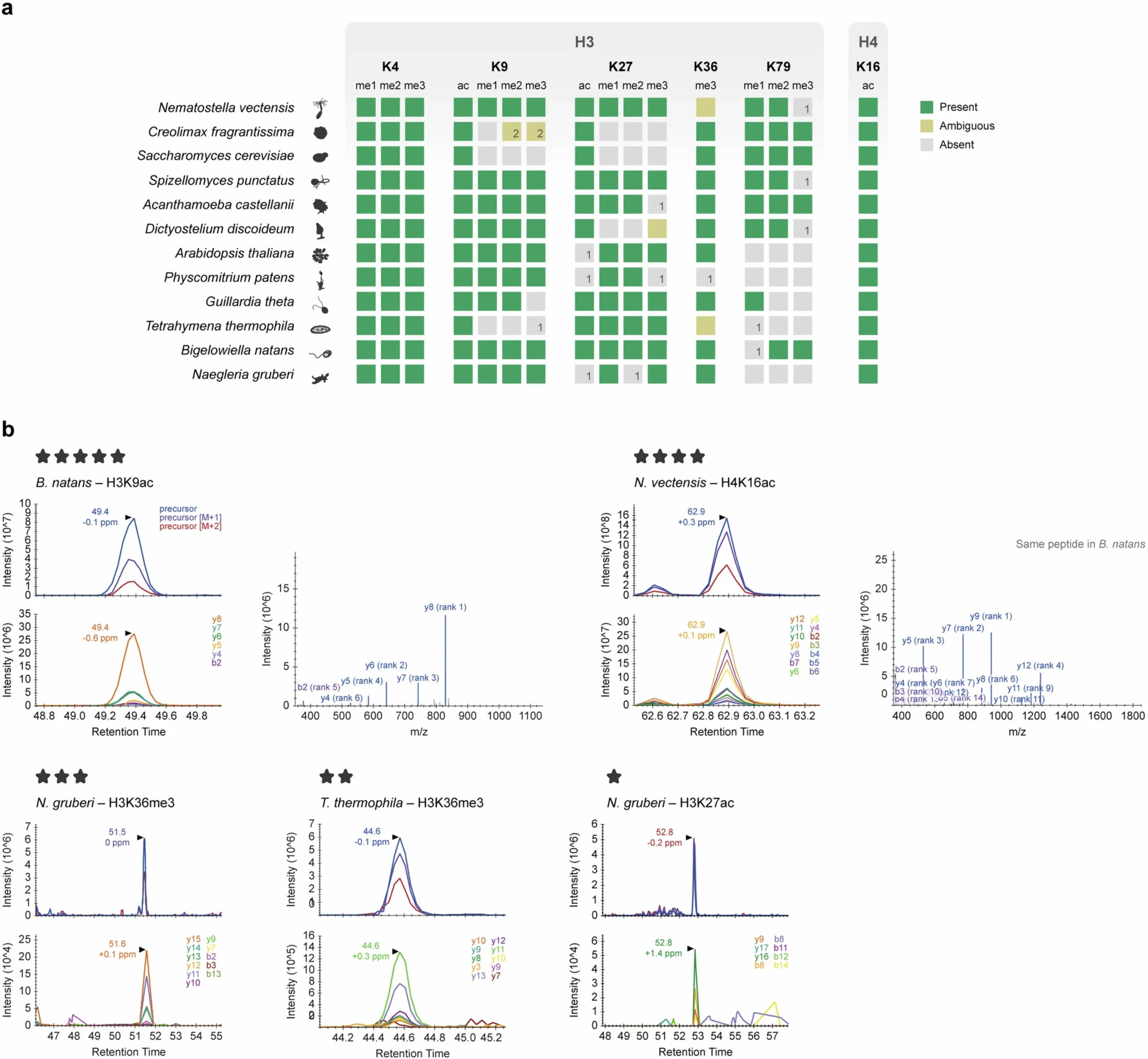 Histone post-translational modification mass spectrometry.