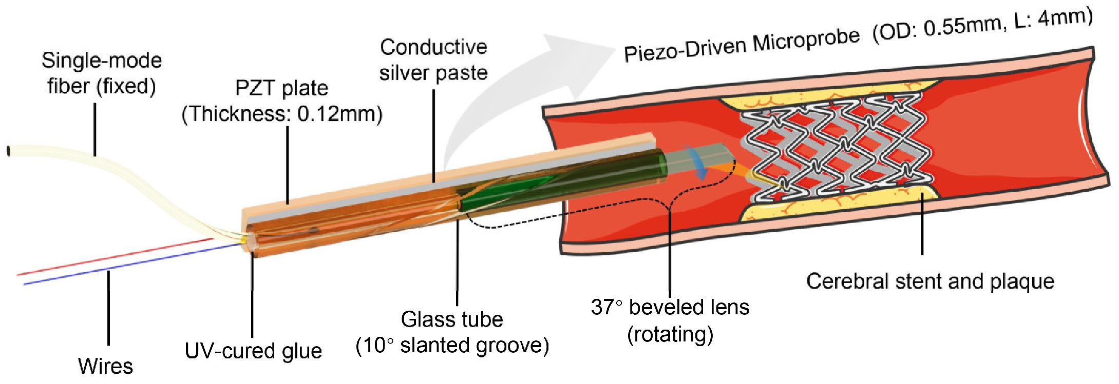 Operational schematic of cerebrovascular micro-optical probing.