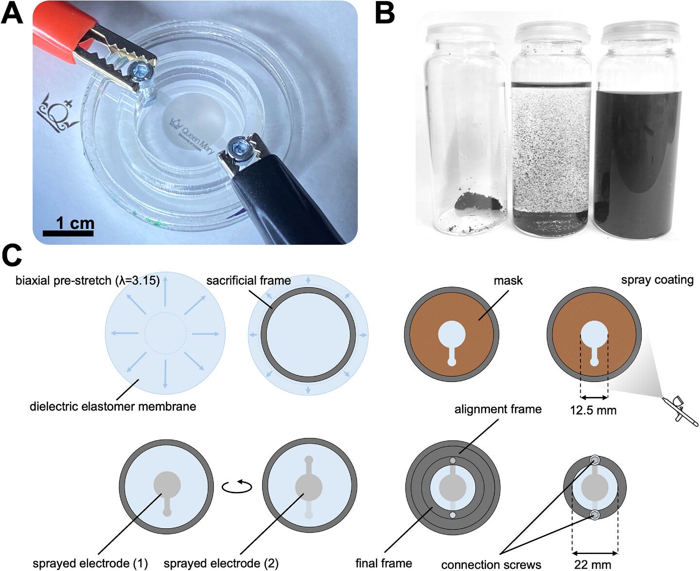 Dielectric elastomer actuator with semi-transparent compliant electrodes made of a spray-coated rGO-based conductive ink.