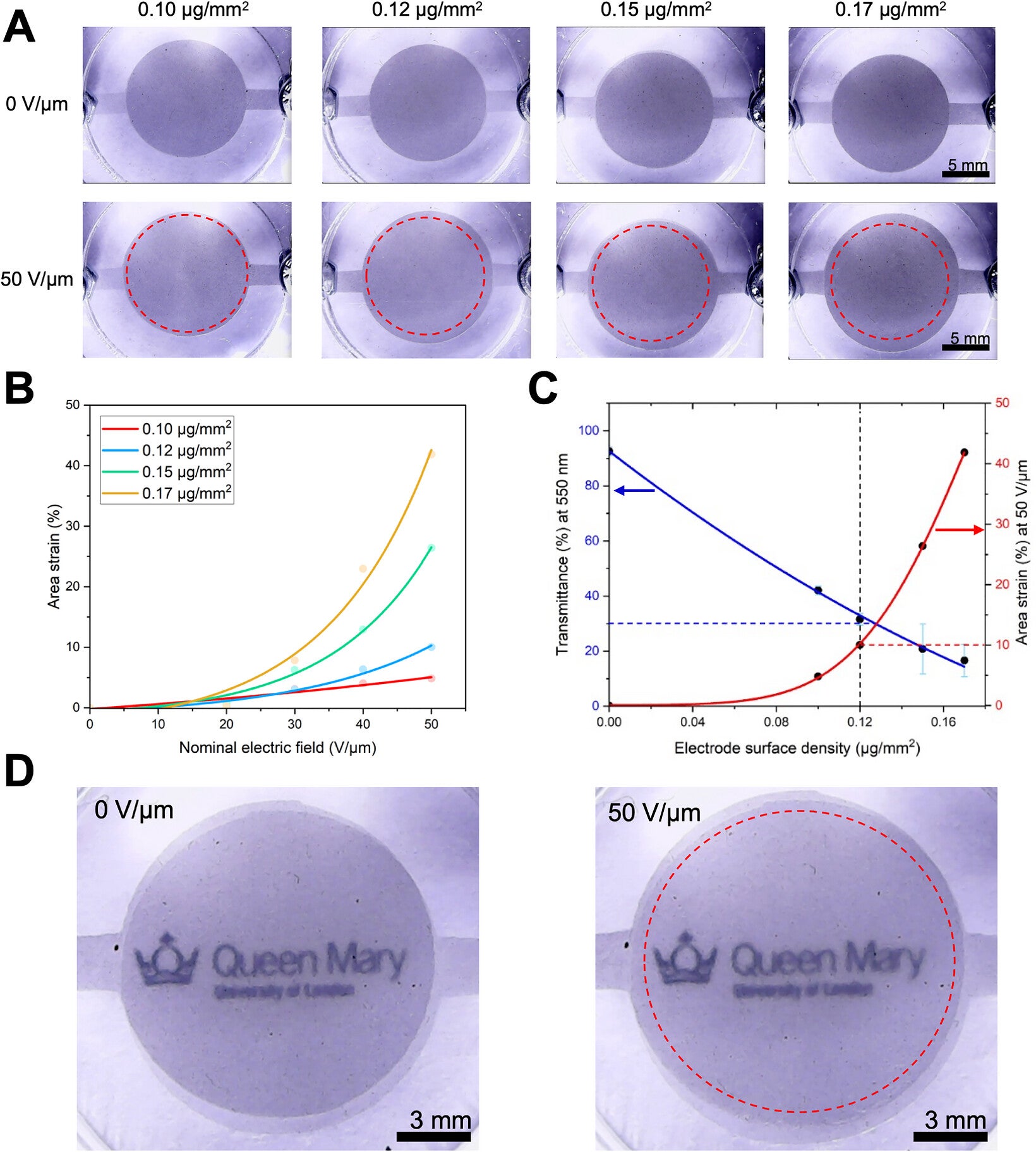 Actuation performance of a dielectric elastomer membrane with spray-coated rGO electrodes, forming a planar DEA.