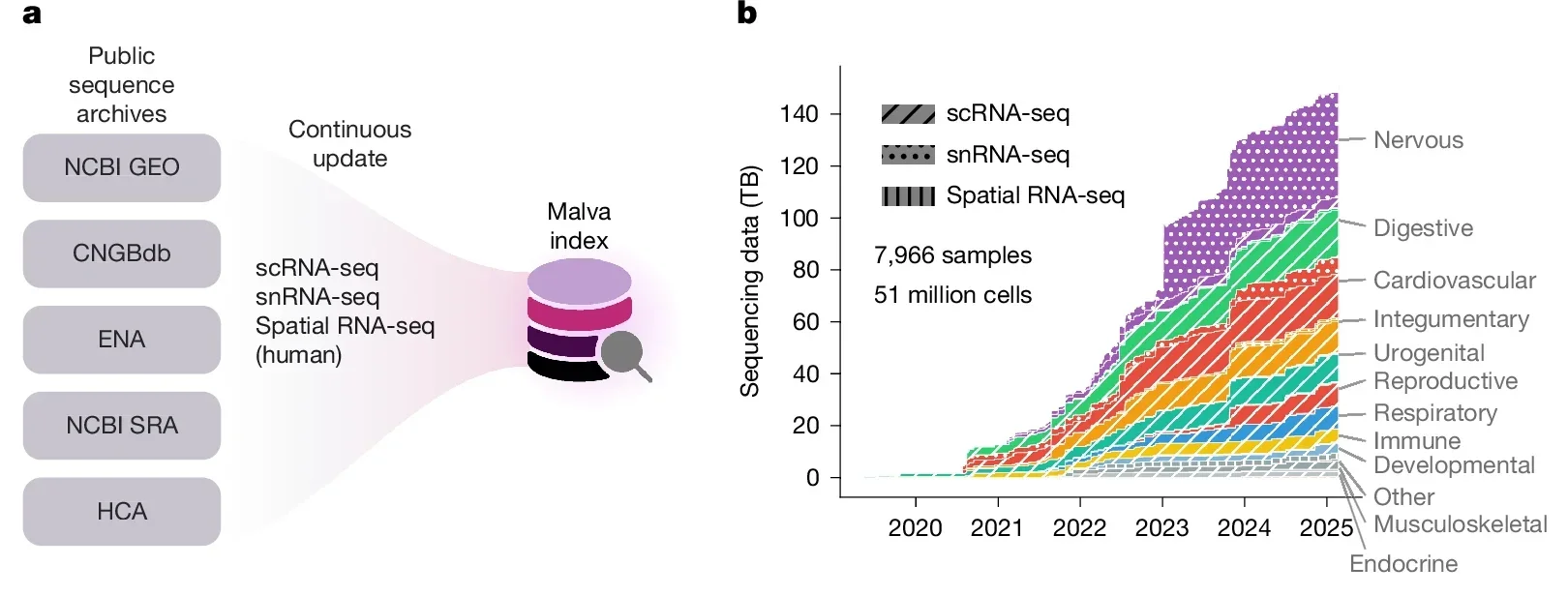 Public sequence archives (NCBI GEO, SRA, ENA, CNGBdb and the HCA data portal) are continuously crawled for single-cell RNA-seq (scRNA-seq), single-nucleus RNA-seq (snRNA-seq) and spatial RNA-seq datasets, which are indexed and integrated into Malva Index.