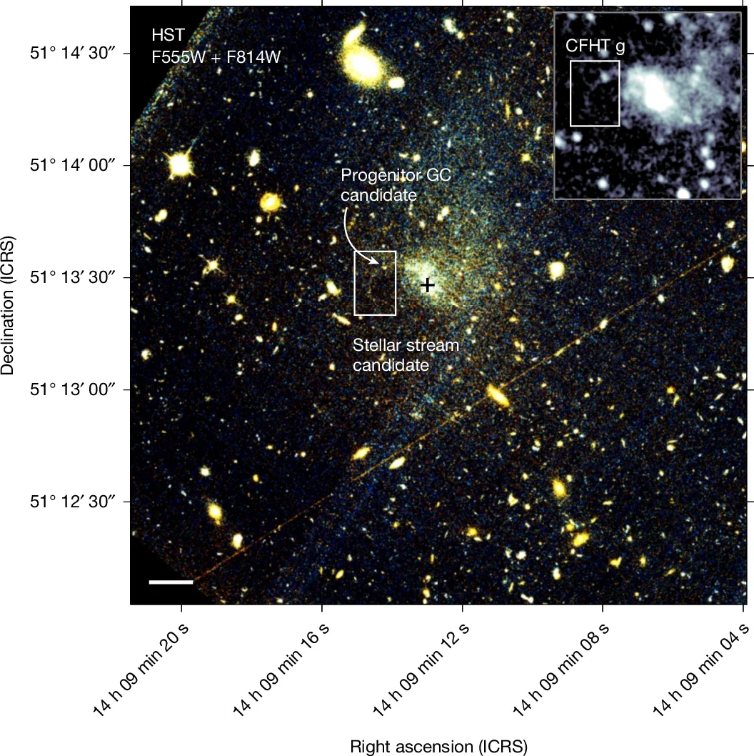 HST and CFHT imaging of the candidate stream and GC progenitor in UGC 9050-Dw1.
