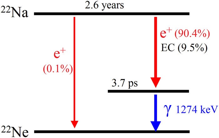 Decay scheme for 22Na. EC = electron capture, e+ = positron, and γ = gamma photon.
