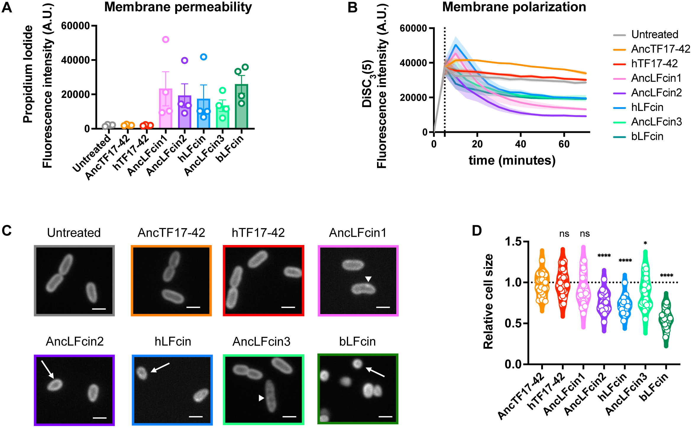 Retracing the origin and evolution of a cryptic antimicrobial peptide within mammalian lactoferrin.