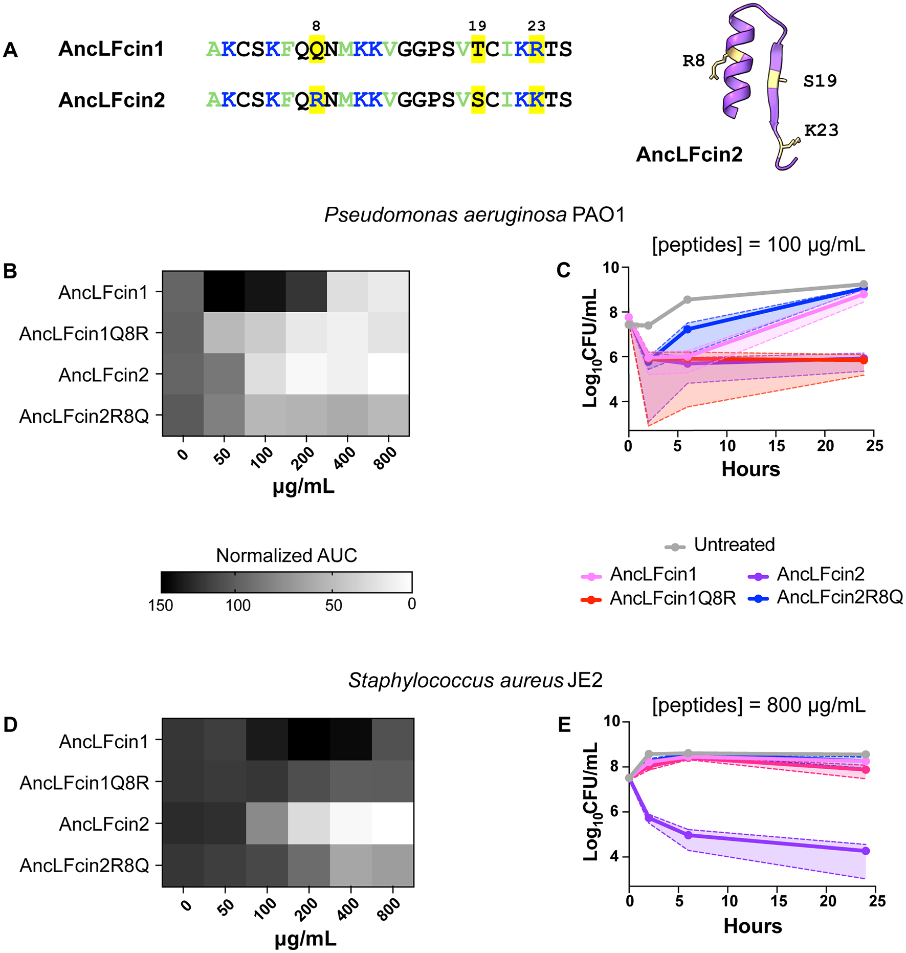 A single arginine substitution contributed to the early emergence of lactoferricin antimicrobial activity.