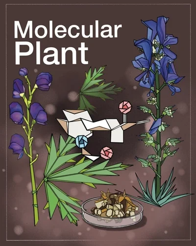 Working with Lansing local artist Marissa Tawney Thaler, the researchers crafted a special cover for Molecular Plant. The final design includes purple wolfsbane, indigo larkspur, a brown-and-gold cell culture in a petri dish, as well as a molecular representation of atisinium with color-coded nodes for oxygen and nitrogen atoms. 