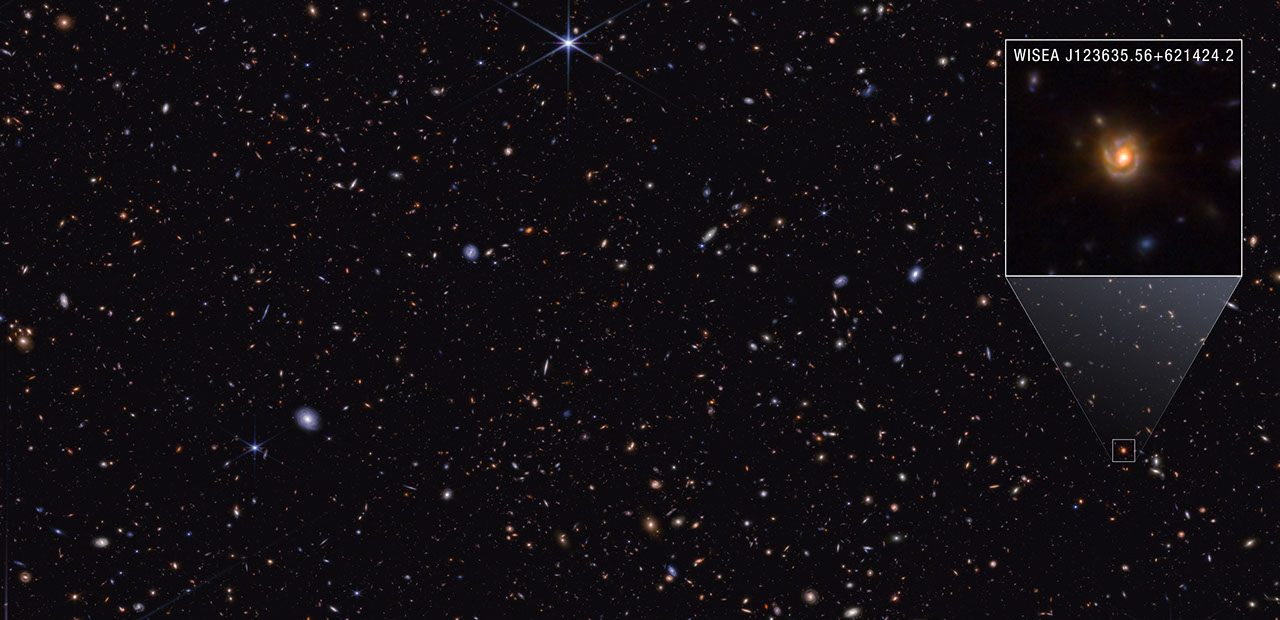 Scientists have proposed one pathway little red dots can follow as the universe matures based on their analysis of spiral galaxy WISEA J123635.56+621424.2, nicknamed the “Saguaro.” They suggest little red dots may be a temporary phase of highly active supermassive black holes.